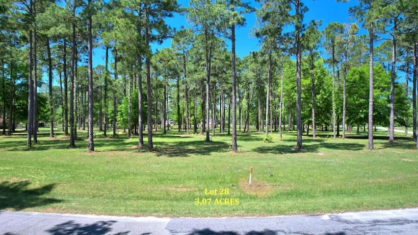 Main Listing Image