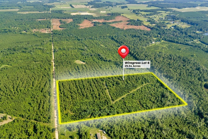 Main Listing Image