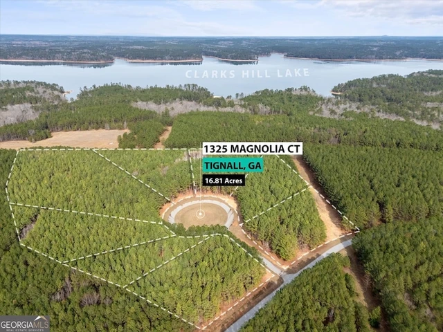 Main Listing Image