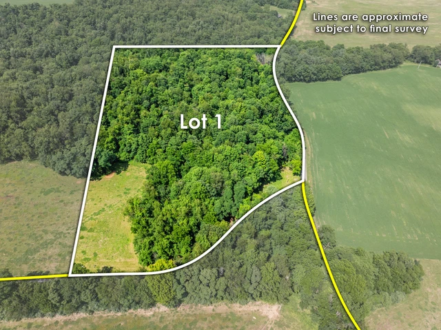Main Listing Image