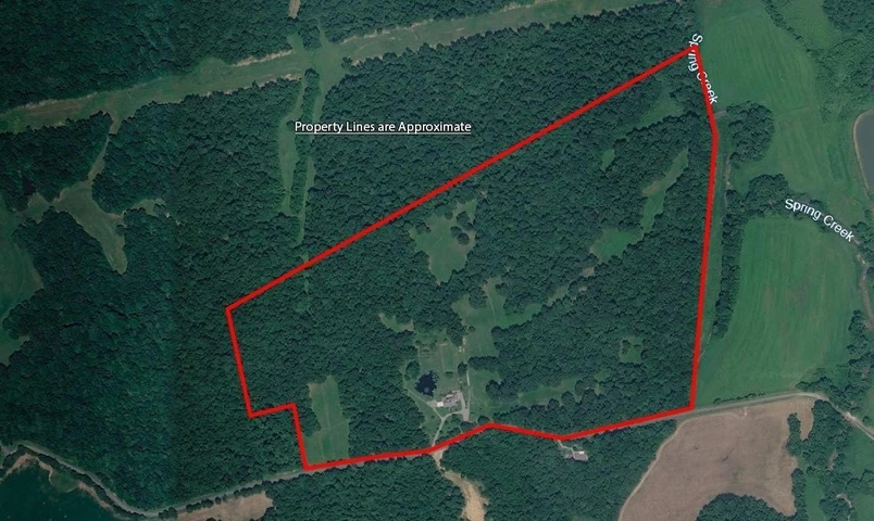 Main Listing Image