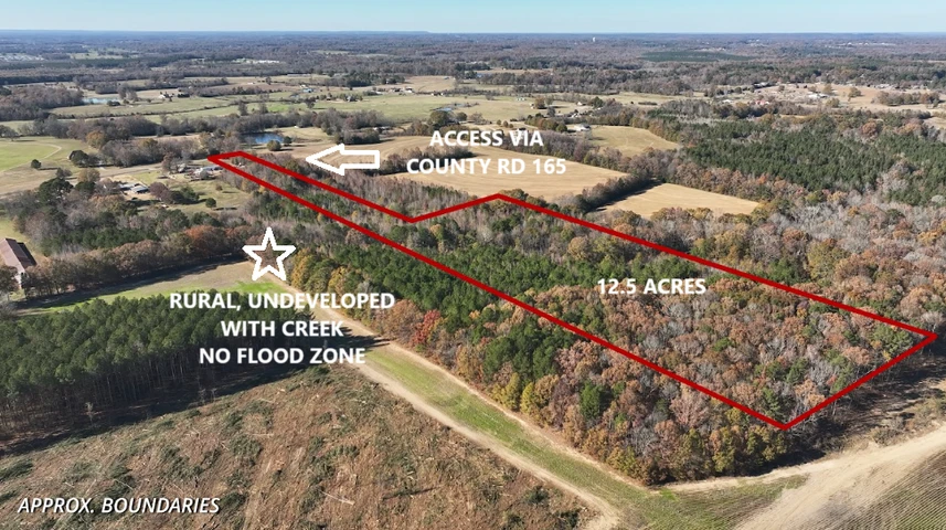 Main Listing Image