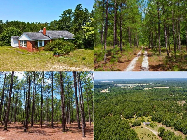 Main Listing Image