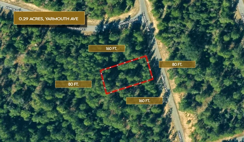 Main Listing Image