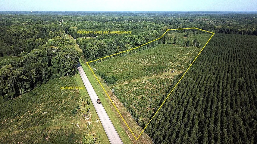 Main Listing Image