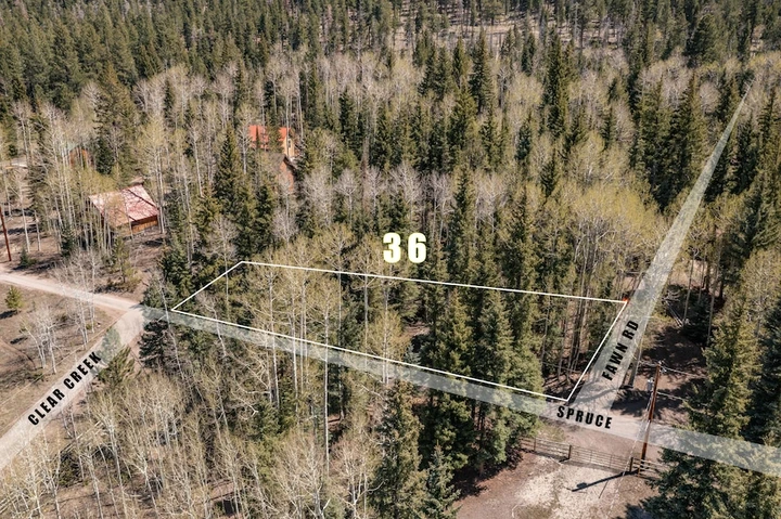 Main Listing Image