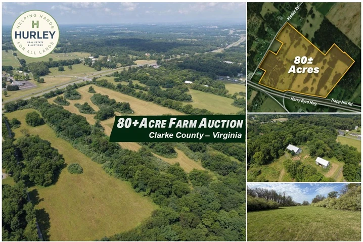 Main Listing Image