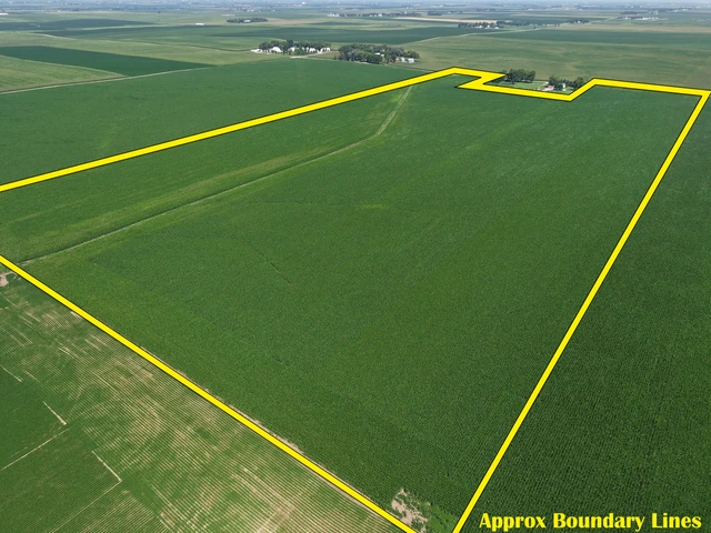 Main Listing Image