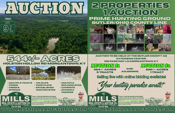 Main Listing Image