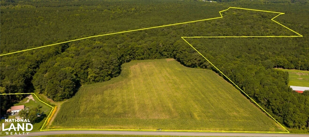 Main Listing Image