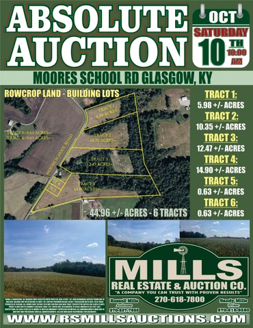 Main Listing Image