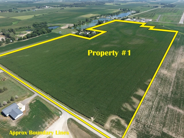 Main Listing Image