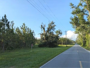 Land for Sale Live Oak FL 32060 - 5612371815