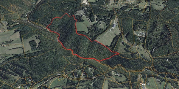 Main Listing Image