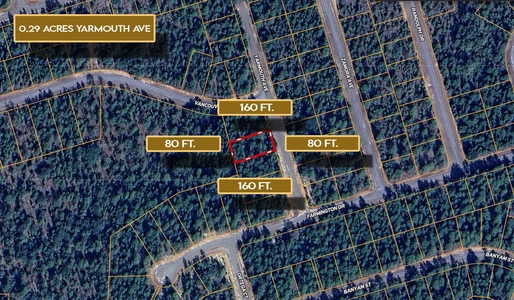 Main Listing Image