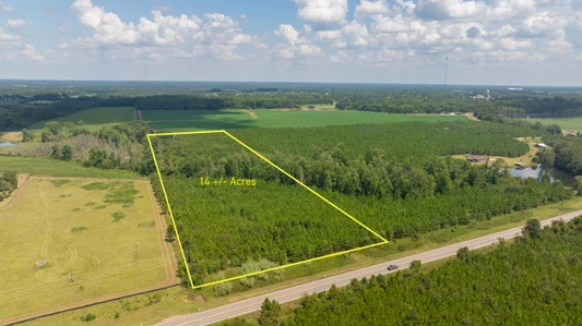 Main Listing Image