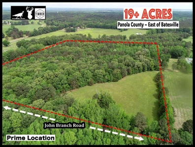 Main Listing Image