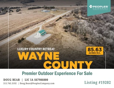 Main Listing Image