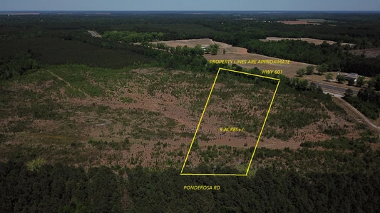 Main Listing Image