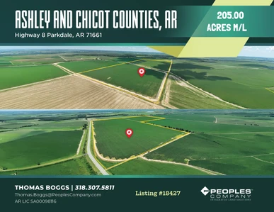 Main Listing Image