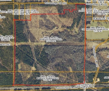 Main Listing Image