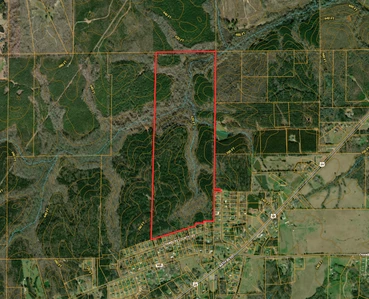 Main Listing Image