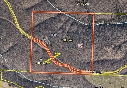 Main Listing Image