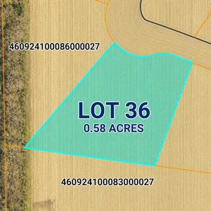 Main Listing Image