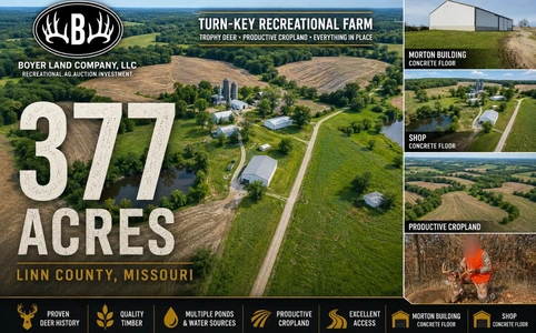 Main Listing Image