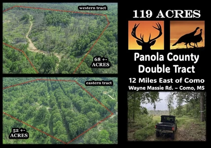 Main Listing Image