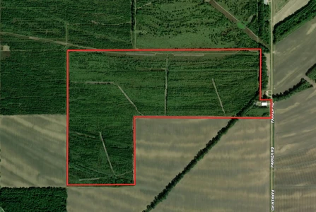 Main Listing Image