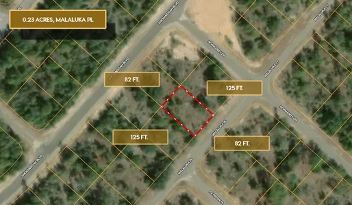 Main Listing Image