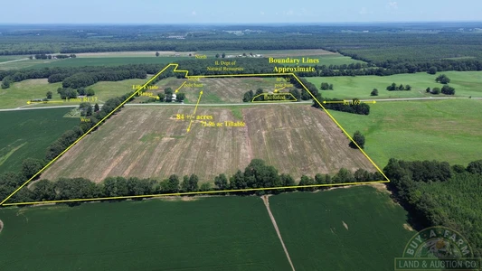 Main Listing Image