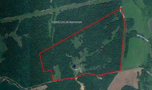 Main Listing Image