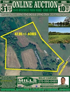 Main Listing Image