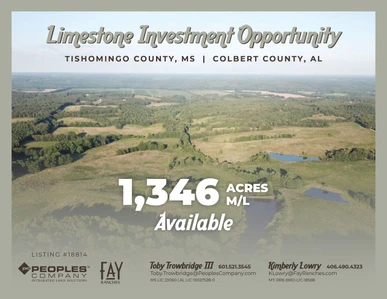 Main Listing Image