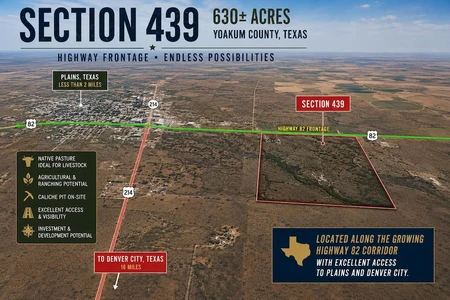 Main Listing Image