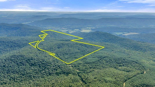 Main Listing Image