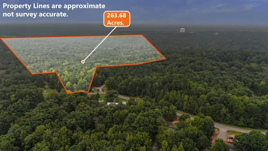 Main Listing Image