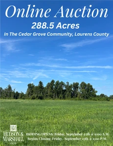 Main Listing Image