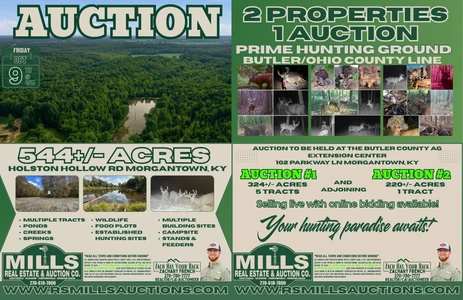 Main Listing Image