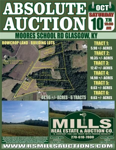 Main Listing Image