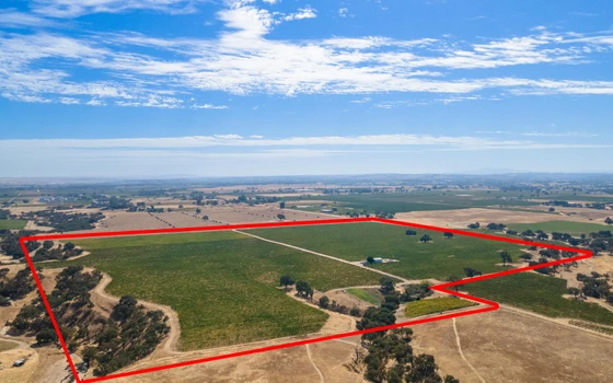 Main Listing Image