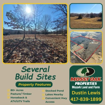 Main Listing Image