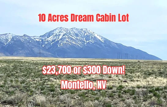 Main Listing Image