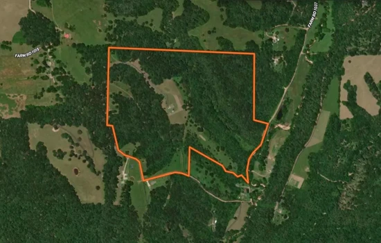 Main Listing Image