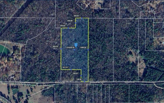 Main Listing Image