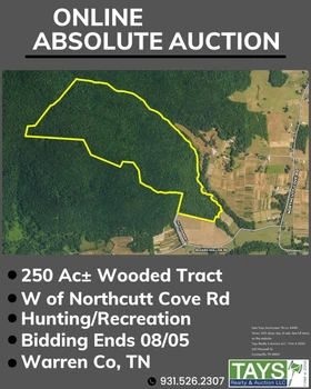 Main Listing Image