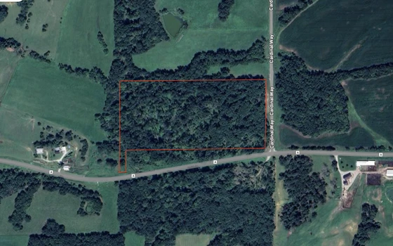 Main Listing Image
