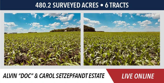 Main Listing Image